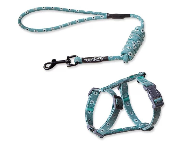 Floral Harness and Leash set