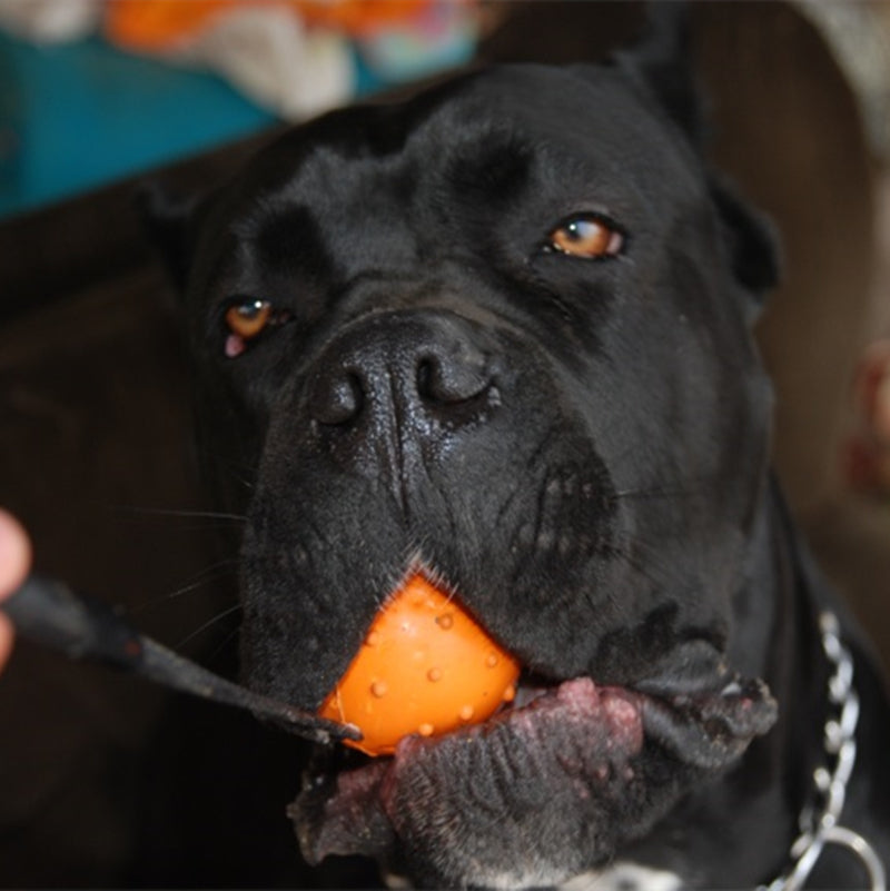 Dog Training Bite Resistant Rubber Ball