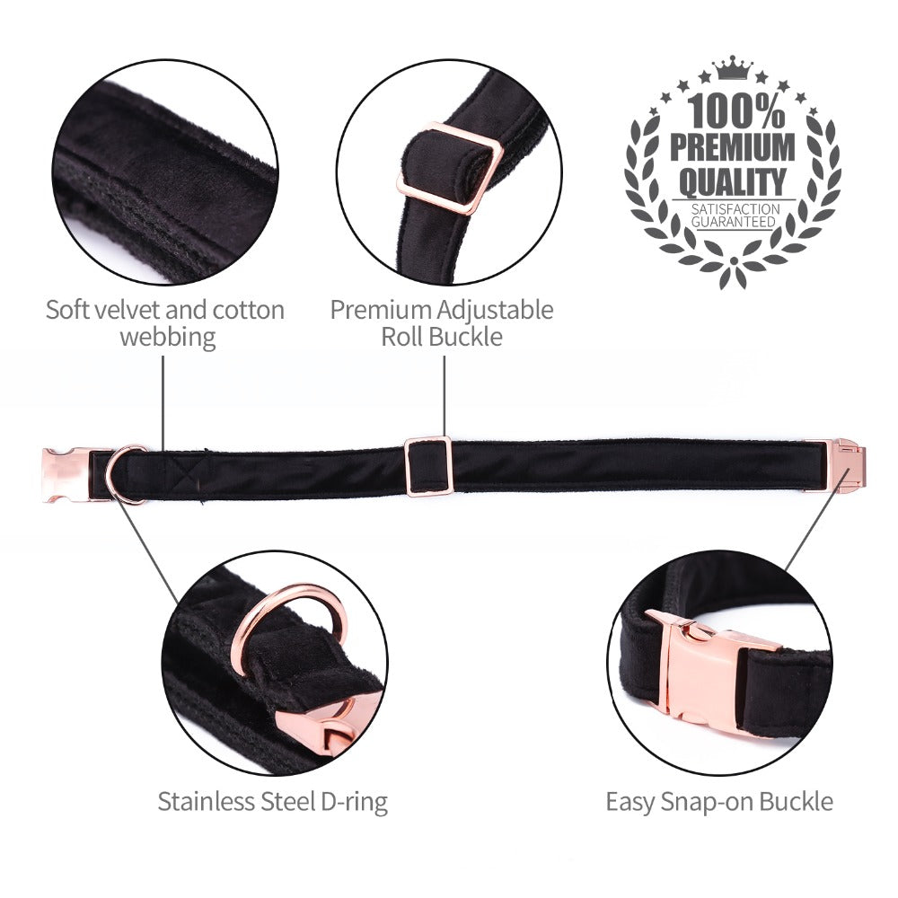 Unique Style Paws Black Soft Collar And Leash