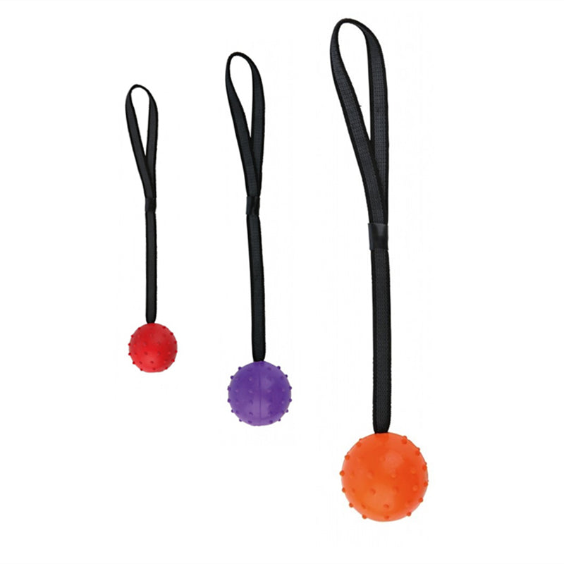 Dog Training Bite Resistant Rubber Ball