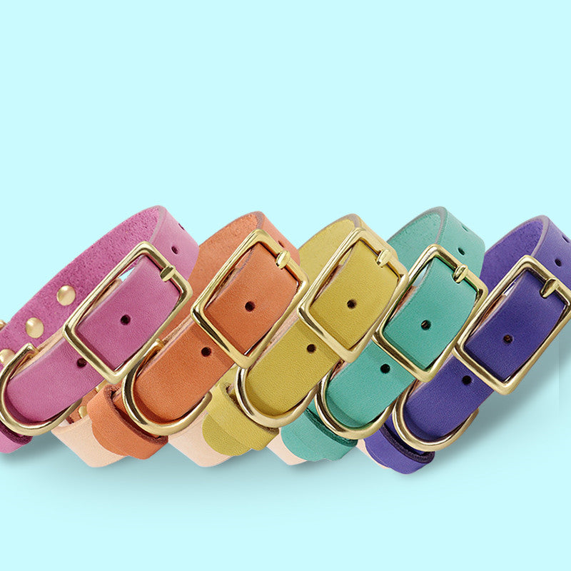Personalized Custom Dog Cat Leather Collar