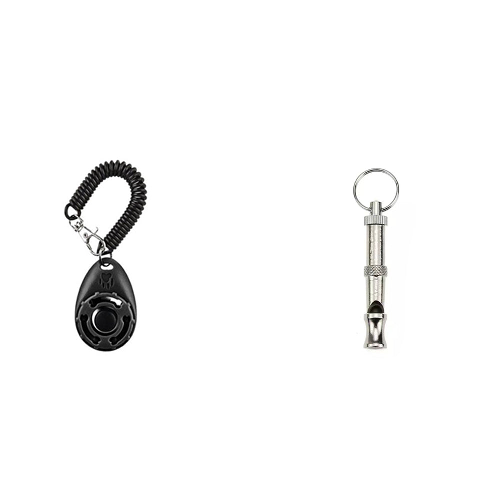 Toy Large Puppy Interactive Training Equipment Accessories