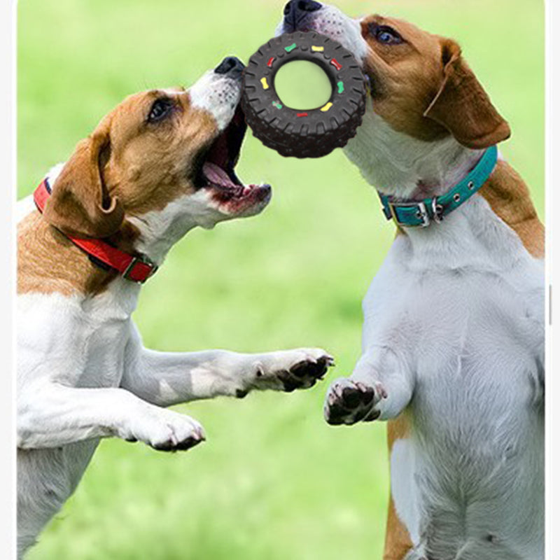 Small Tire Pet