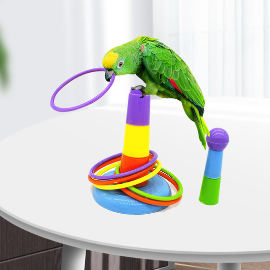 Enrichment Rings