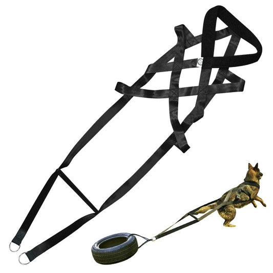 Dog training straps
