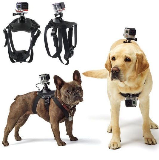 Dog Strap Belt Harness with camera mount