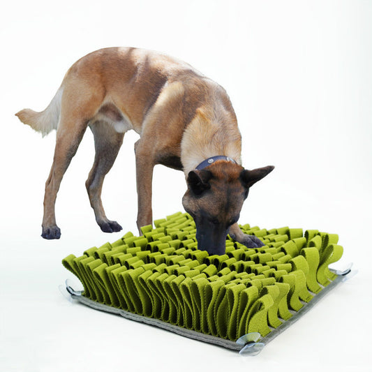 Pet Treasure Hunting Blanket