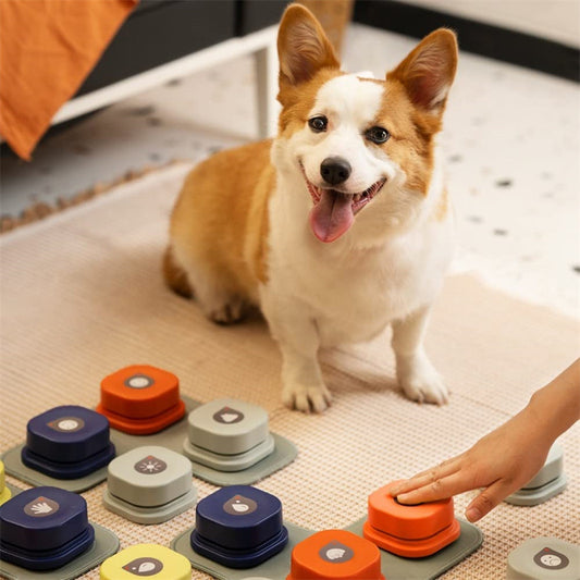 4 Colors Pet Communication Button One-click