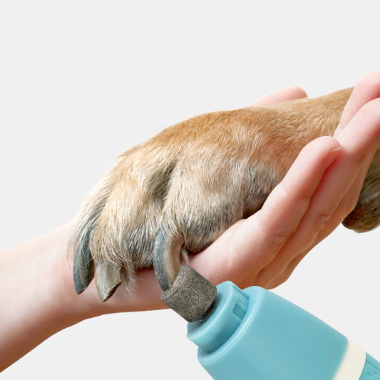 2n1 Pet Nail Polisher and Hair trimmer