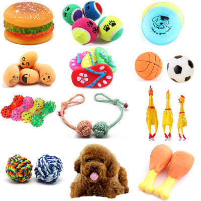 Dog squeaker toys
