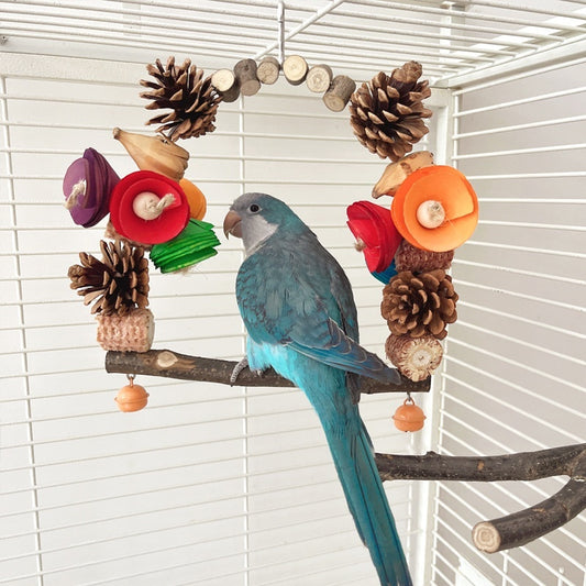 Parrot Swing Pine Nut Grinding Mouth Grinding Claw Log Bird Stand