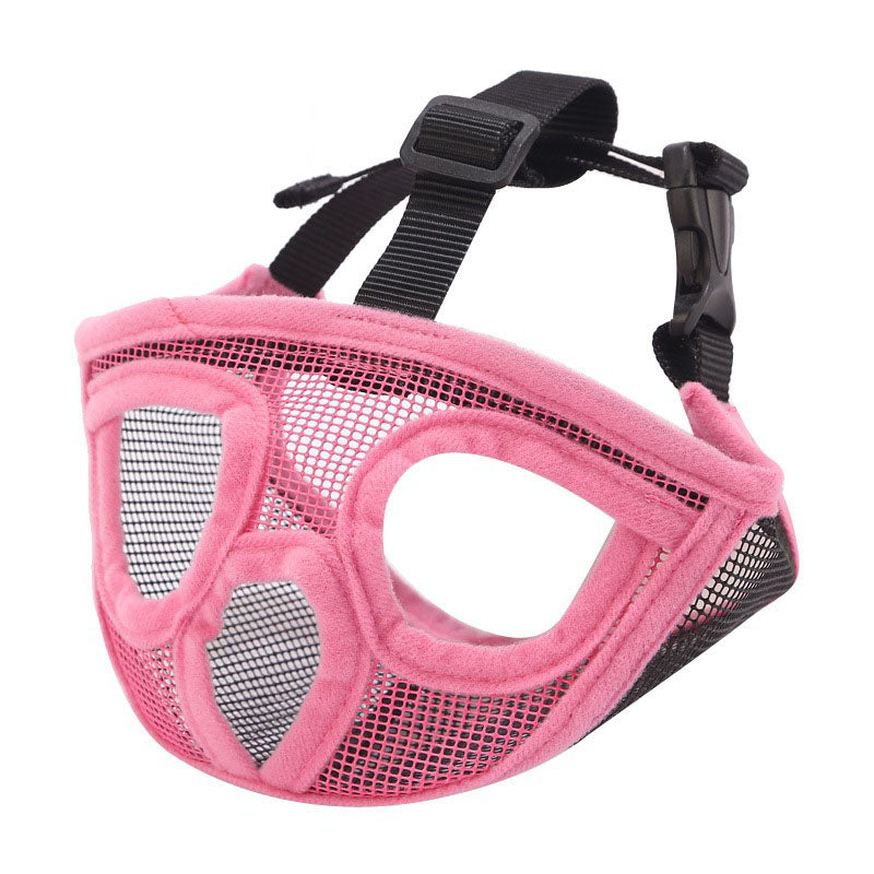 French bull dog, brachycephalic dog muzzle