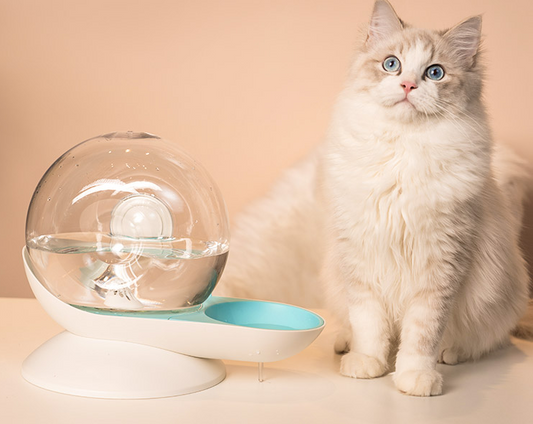 Cat drinking fountain