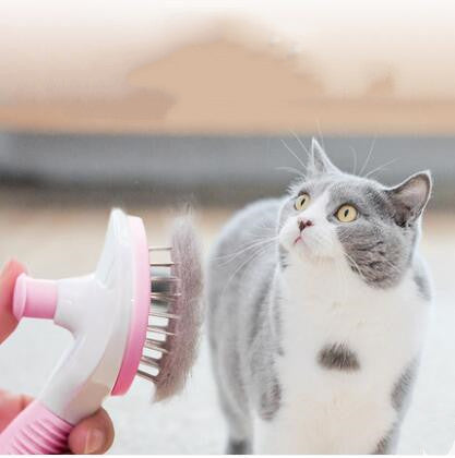 Cat comb long hair