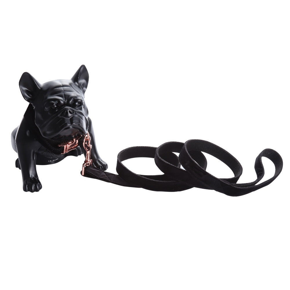 Unique Style Paws Black Soft Collar And Leash