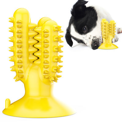Pet rubber molar rod