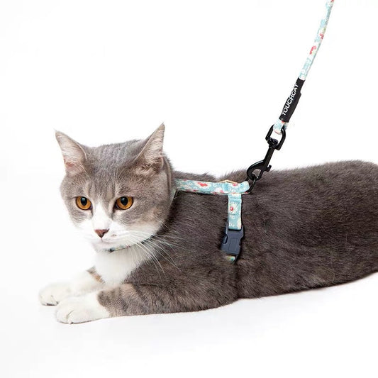 Floral Harness and Leash set