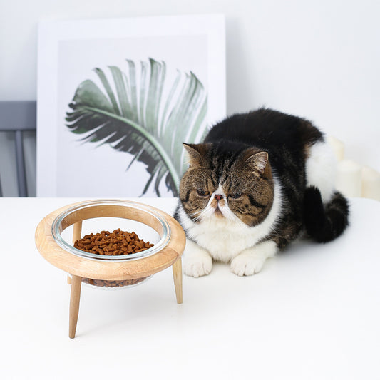 Glass cat bowl