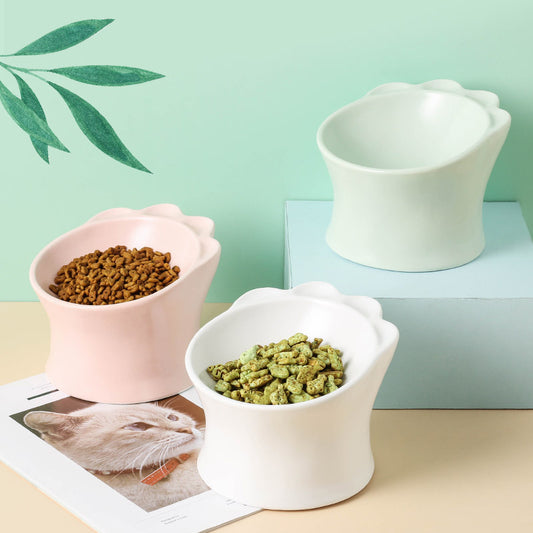 Raised Ceramic Pet Cat Food Bowl